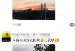 晨光最新爆料视频,揭秘神秘项目背后的惊人真相