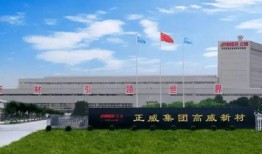 正威新材最新爆料,揭秘企业神秘面纱背后的真相